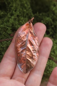 Image 2 of Vera foglia di alloro elettroformata in rame con finitura ossidata 6