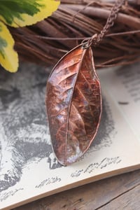 Image 1 of Vera foglia di alloro elettroformata in rame con finitura ossidata 6