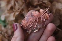 Image 1 of Foglia di quercia elettroformata con finitura anticata 1