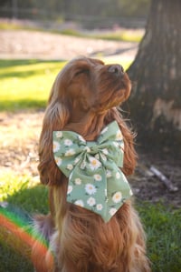 Image 3 of Daisy Meadow - Sailor Bow