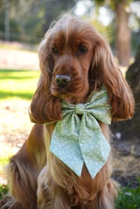 Image 3 of Garden Whispers - Sailor Bow