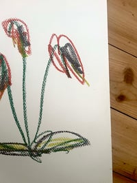 Image 2 of Sound Garden 10 (24x32 cm)