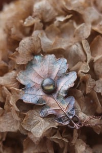 Image 2 of Vera foglia di quercia elettroformata in rame con labradorite verde e patina verde