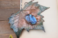 Image 2 of Vera foglia di platano acerifolia maxi elettroformata in rame con labradorite blu