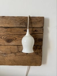 Image 1 of Paire de baladeuses n°16