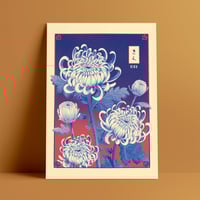 Image 1 of Kiku (chrysanthèmes) VARIANTE — Print 30x40 cm / 50x70 cm