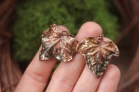Image 3 of Orecchini con vere foglie di edera elettroformate in rame con patina verde