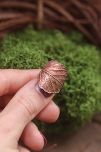 Image 1 of Anello con vera foglia di rovo elettroformata in rame e patina ossidata, taglia 11