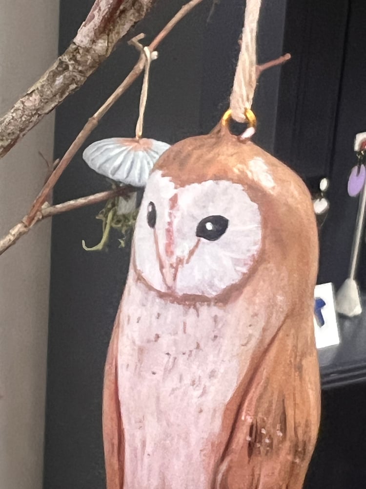 Image of Owl Ornaments