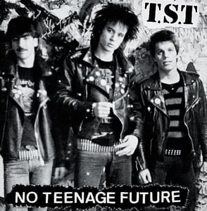 Image of TST No Teenage Future LP