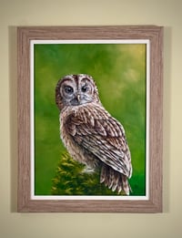 Image 1 of The Tawny Owl - commission - acrylic