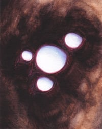 pacc (4x5, 8x10, 11x14 inches) fine art print