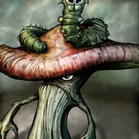 Image 1 of Mashroom Print