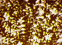 Image 3 of Silkscreen on Glass - January