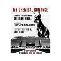 METLIFE 2025 PRINT