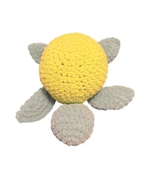 Image 5 of Frank the Sea Turtle