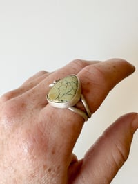 Image 3 of Nautilus variscite ring size 7