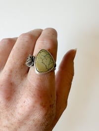 Image 2 of Nautilus variscite ring size 7