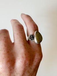 Image 4 of Nautilus variscite ring size 7