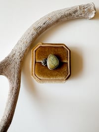 Image 1 of Nautilus variscite ring size 7