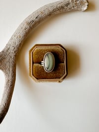 Image 1 of 🤍 Ivory Desert Bloom Variscite Ring Size 6.5