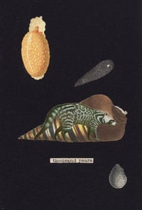 Thousand years | Original Collage