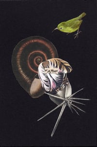 After | Original Collage