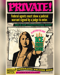 Image 1 of ICE Free Zone poster