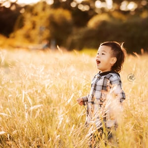 Image of FALL FAMILY MINI SESSION