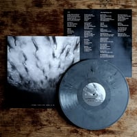 Image 3 of MORILD "Disse Fugle Får Ingen At Se" LP