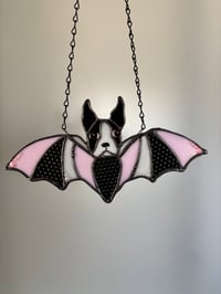 Image 2 of Boston bats!