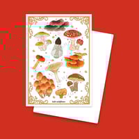Mushroom Forager Postcard