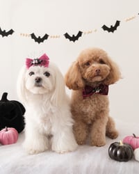 Image 1 of BAT-TITUDE BOW