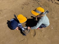 Barwon Heads - Tuesdays, Term 4 (2 - 5 year olds)