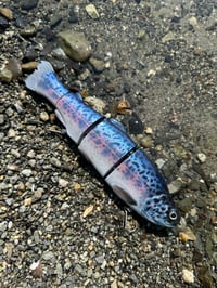 Image 3 of Immortal Trout 7.7 “Juvenile Shasta Trout ”