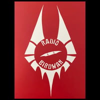 Image 1 of RADIO BIRDMAN ~ When The Birdman Flew