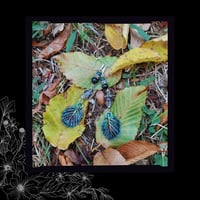 Image 5 of ☽ Alnus Pavonis ☾