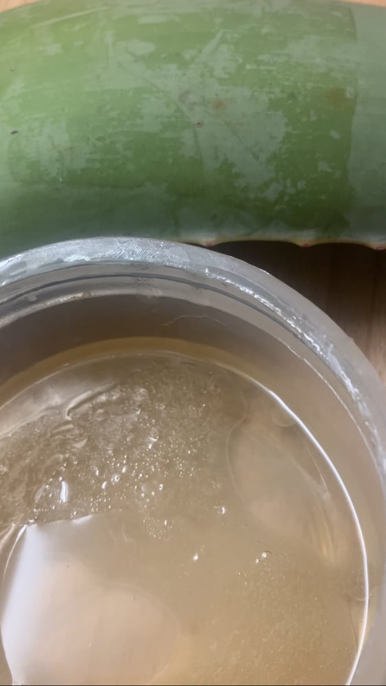 Image of  Aloe & Honey Deep Conditioner