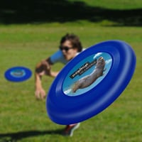CTRL + ALT + FUCK FRISBEE