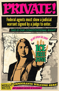 Image 2 of ICE Free Zone poster