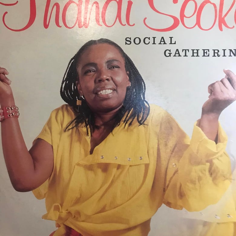 Image of Thandi Seoka - Social Gathering