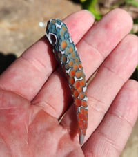 Image 1 of Scale Fang