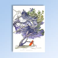 Image 1 of Affiche Grenettes 2