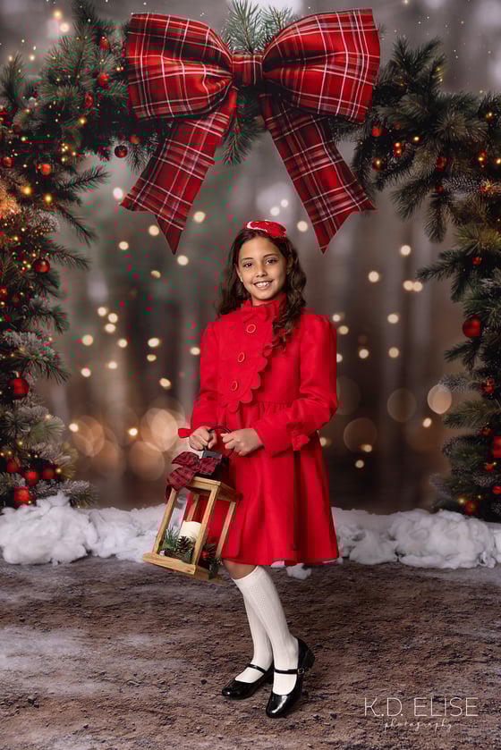 Image of Snowy Stroll Mini Sessions- DEPOSIT ONLY