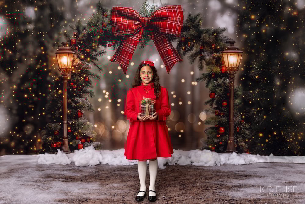 Image of Snowy Stroll Mini Sessions- DEPOSIT ONLY