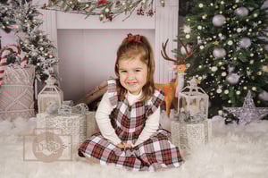 Image of Christmas Minis 2025- Christmas Mantel Sat Nov 8th 2025