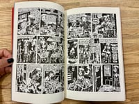 Image 3 of My New York Diary - Julie Doucet - Drawn and Quarterly