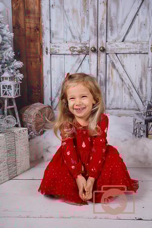 Image of Christmas Minis 2025-Doorway to Xmas Sat Nov 15th 2025