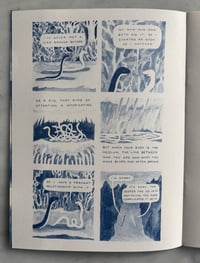 Image 3 of Two Snakes zine