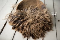 Cocoa Caramel hand felted fur